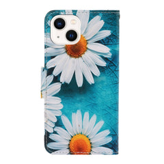 3D Colored Drawing Flip Leather Phone Case, For iPhone 14