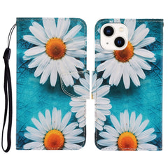 3D Colored Drawing Flip Leather Phone Case, For iPhone 14