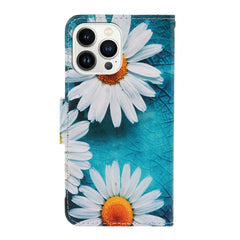 3D Colored Drawing Flip Leather Phone Case, For iPhone 14 Pro