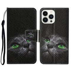 3D Colored Drawing Flip Leather Phone Case, For iPhone 14 Pro