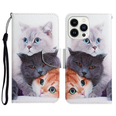 3D Colored Drawing Flip Leather Phone Case, For iPhone 14 Pro