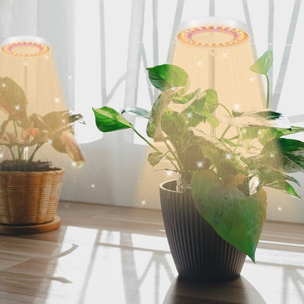 10W 48 LEDs Succulent Plant Grow Fill Light, Angel Ring, Bee, Round Tube