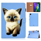 For iPad Pro 11 inch 2020 / Cat