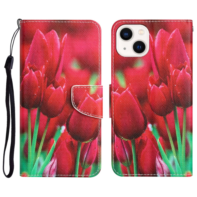 Colored Drawing Leather Phone Case, For iPhone 14 Plus