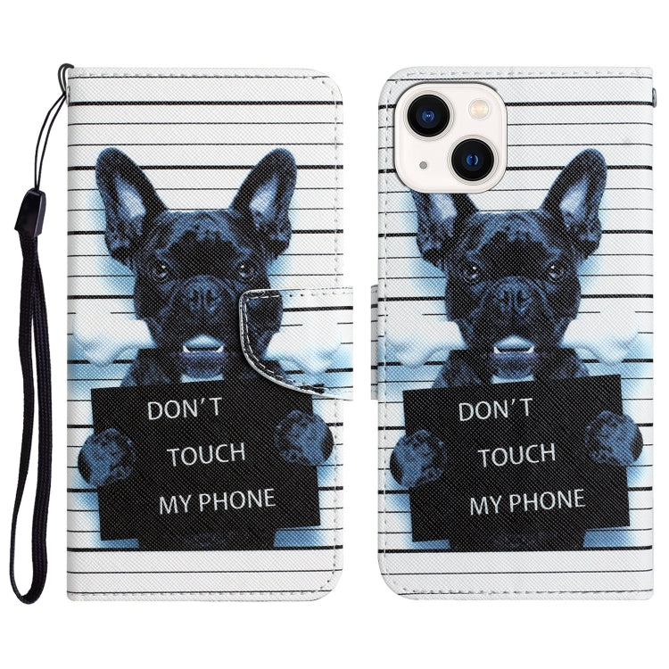Colored Drawing Leather Phone Case, For iPhone 13 mini