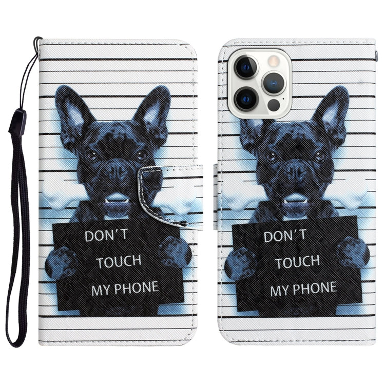 Colored Drawing Leather Phone Case, For iPhone 13 Pro