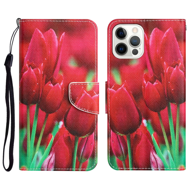 Colored Drawing Leather Phone Case, For iPhone 13 Pro
