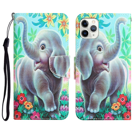 Colored Drawing Leather Phone Case, For iPhone 11 Pro Max