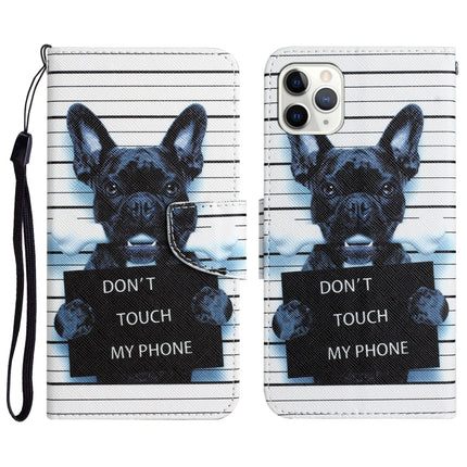 Colored Drawing Leather Phone Case, For iPhone 11 Pro Max