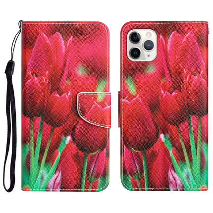Colored Drawing Leather Phone Case, For iPhone 11 Pro