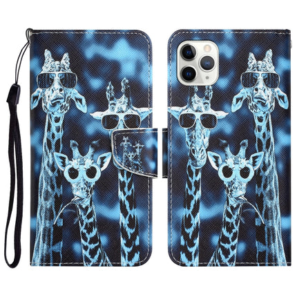 Colored Drawing Leather Phone Case, For iPhone 11 Pro Max