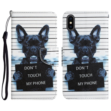 Colored Drawing Leather Phone Case, For iPhone XS Max