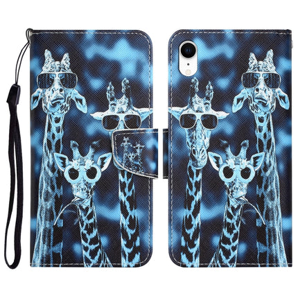 Colored Drawing Leather Phone Case, For iPhone XR