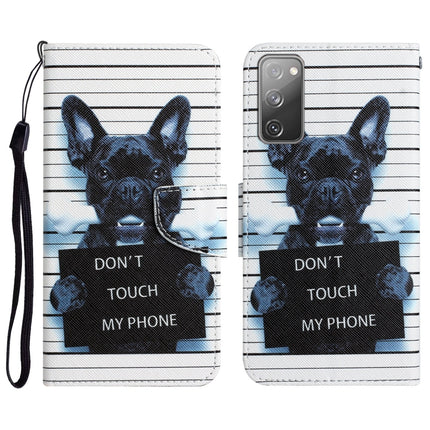 Colored Drawing Leather Phone Case, For Samsung Galaxy S20 FE