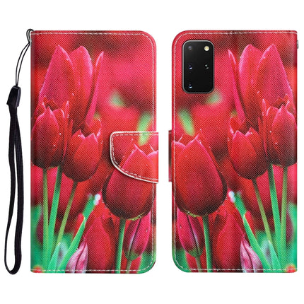 Colored Drawing Leather Phone Case, For Samsung Galaxy S20+