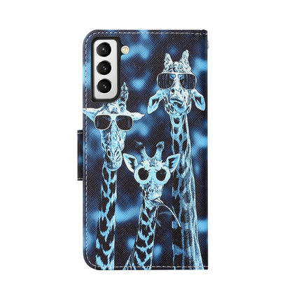 Colored Drawing Leather Phone Case, For Samsung Galaxy S21+ 5G