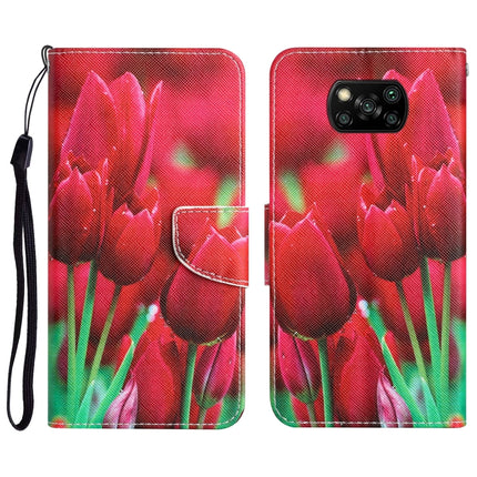 Colored Drawing Leather Phone Case, For Xiaomi Poco X3 NFC