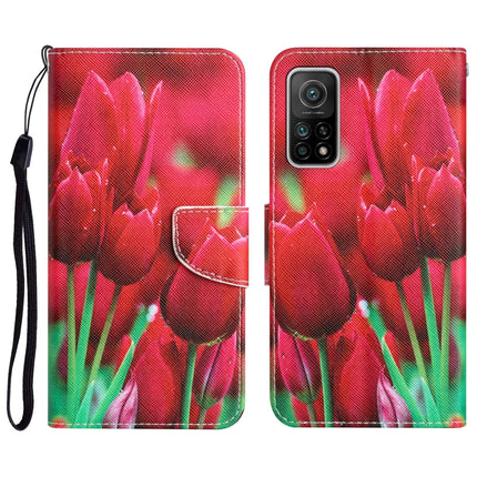 Colored Drawing Leather Phone Case, For Xiaomi Mi 10T 5G