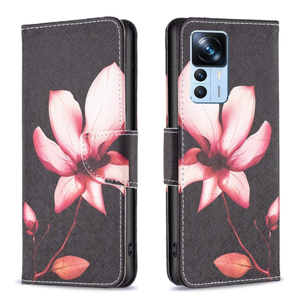 Colored Drawing Pattern Leather Phone Case, For Xiaomi 12T / 12T Pro / Redmi K50 Ultra