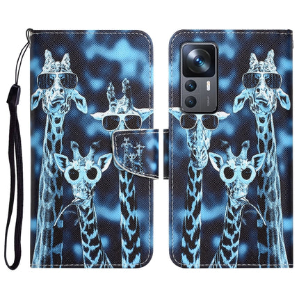 Colored Drawing Leather Phone Case, For Xiaomi 12T / 12T Pro / Redmi K50 Ultra