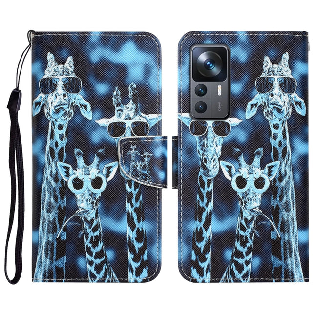Colored Drawing Leather Phone Case, For Xiaomi 12T / 12T Pro / Redmi K50 Ultra