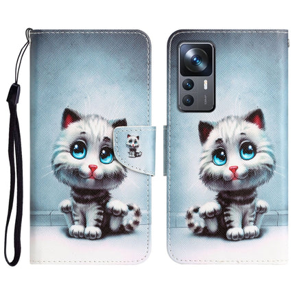 Colored Drawing Leather Phone Case, For Xiaomi 12T / 12T Pro / Redmi K50 Ultra