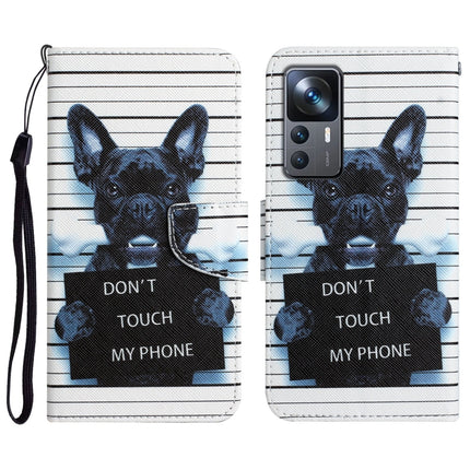 Colored Drawing Leather Phone Case, For Xiaomi 12T / 12T Pro / Redmi K50 Ultra