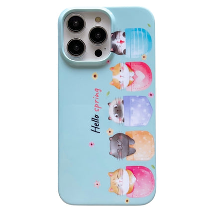 Pattern PC Shockproof Protective Phone Case, For iPhone 11