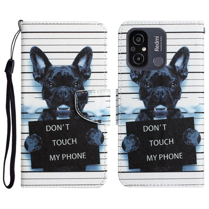 Colored Drawing Leather Phone Case, For Xiaomi Redmi 12C
