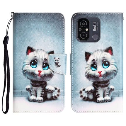 Colored Drawing Leather Phone Case, For Xiaomi Redmi 12C