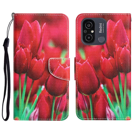 Colored Drawing Leather Phone Case, For Xiaomi Redmi 12C