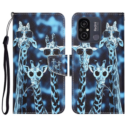 Colored Drawing Leather Phone Case, For Xiaomi Redmi 12C