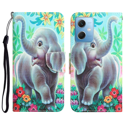 Colored Drawing Leather Phone Case, For Xiaomi Redmi Note 12 5G Global/Poco X5