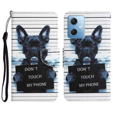 Colored Drawing Leather Phone Case, For Xiaomi Redmi Note 12 5G Global/Poco X5