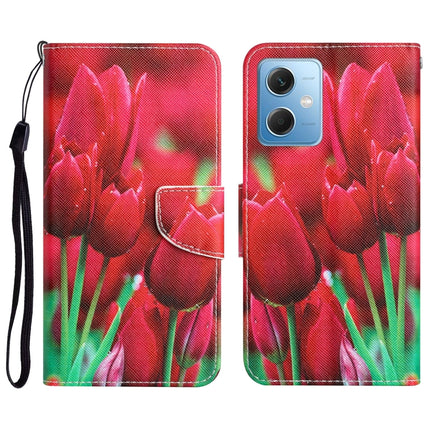 Colored Drawing Leather Phone Case, For Xiaomi Redmi Note 12 5G Global/Poco X5
