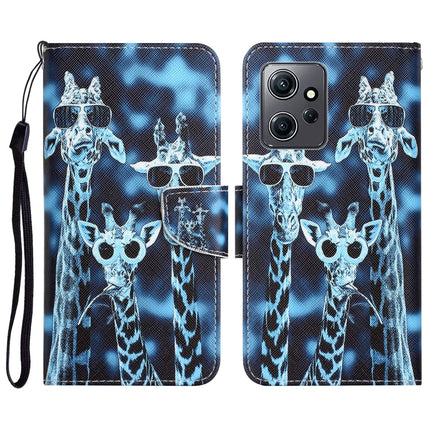 Colored Drawing Leather Phone Case, For Xiaomi Redmi Note 12 4G Global