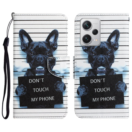 Colored Drawing Leather Phone Case, For Xiaomi Redmi Note 12 Pro 5G/Poco X5 Pro