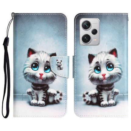 Colored Drawing Leather Phone Case, For Xiaomi Redmi Note 12 Pro 5G/Poco X5 Pro