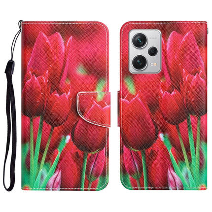Colored Drawing Leather Phone Case, For Xiaomi Redmi Note 12 Pro 5G/Poco X5 Pro