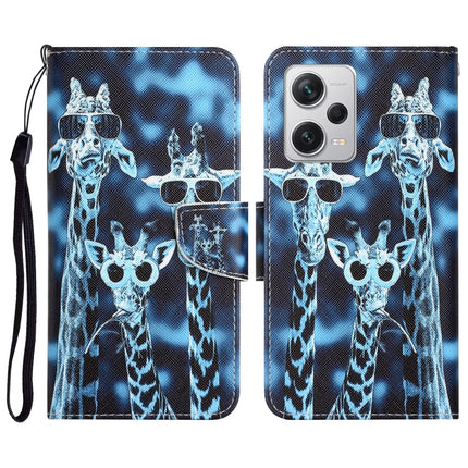 Colored Drawing Leather Phone Case, For Xiaomi Redmi Note 12 Pro 5G/Poco X5 Pro