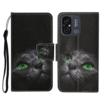 Colored Drawing Pattern Flip Leather Phone Case, For Xiaomi Redmi 12C
