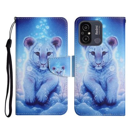 Colored Drawing Pattern Flip Leather Phone Case, For Xiaomi Redmi 12C