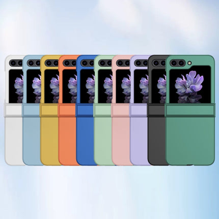 Skin Feel PC Phone Case with Hinge, For Samsung Galaxy Z Flip6, For Samsung Galaxy Z Fold6