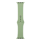 For Apple Watch Series 8&7 41mm / SE 2&6&SE&5&4 40mm / 3&2&1 38mm / Mint Green
