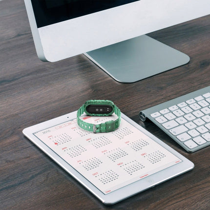 Integrated Transparent Silicone Watch Band