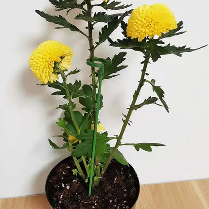 10pcs Plant Potted Flower Shape Support Rod Fixed Anti-lodging Leaf Guard Frame, 17cm, 27cm, 37cm, 48cm, 58cm