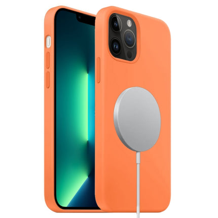 Liquid Silicone Full Coverage MagSafe Phone Case, For iPhone 13 Pro Max, For iPhone 13 Pro, For iPhone 13