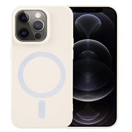 MagSafe Liquid Silicone Phone Case, For iPhone 12 Pro Max, For iPhone 12 Pro, For iPhone 11 Pro Max, For iPhone 11, For iPhone 11 Pro