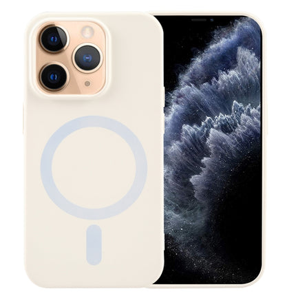 MagSafe Liquid Silicone Phone Case, For iPhone 12 Pro Max, For iPhone 12 Pro, For iPhone 11 Pro Max, For iPhone 11, For iPhone 11 Pro