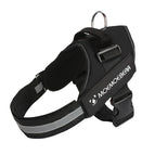M for 13-23kg / Black